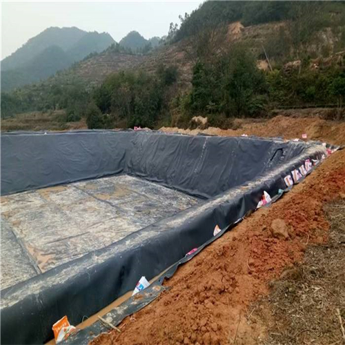 您了解魚(yú)塘防滲膜施工方法有哪些嗎？